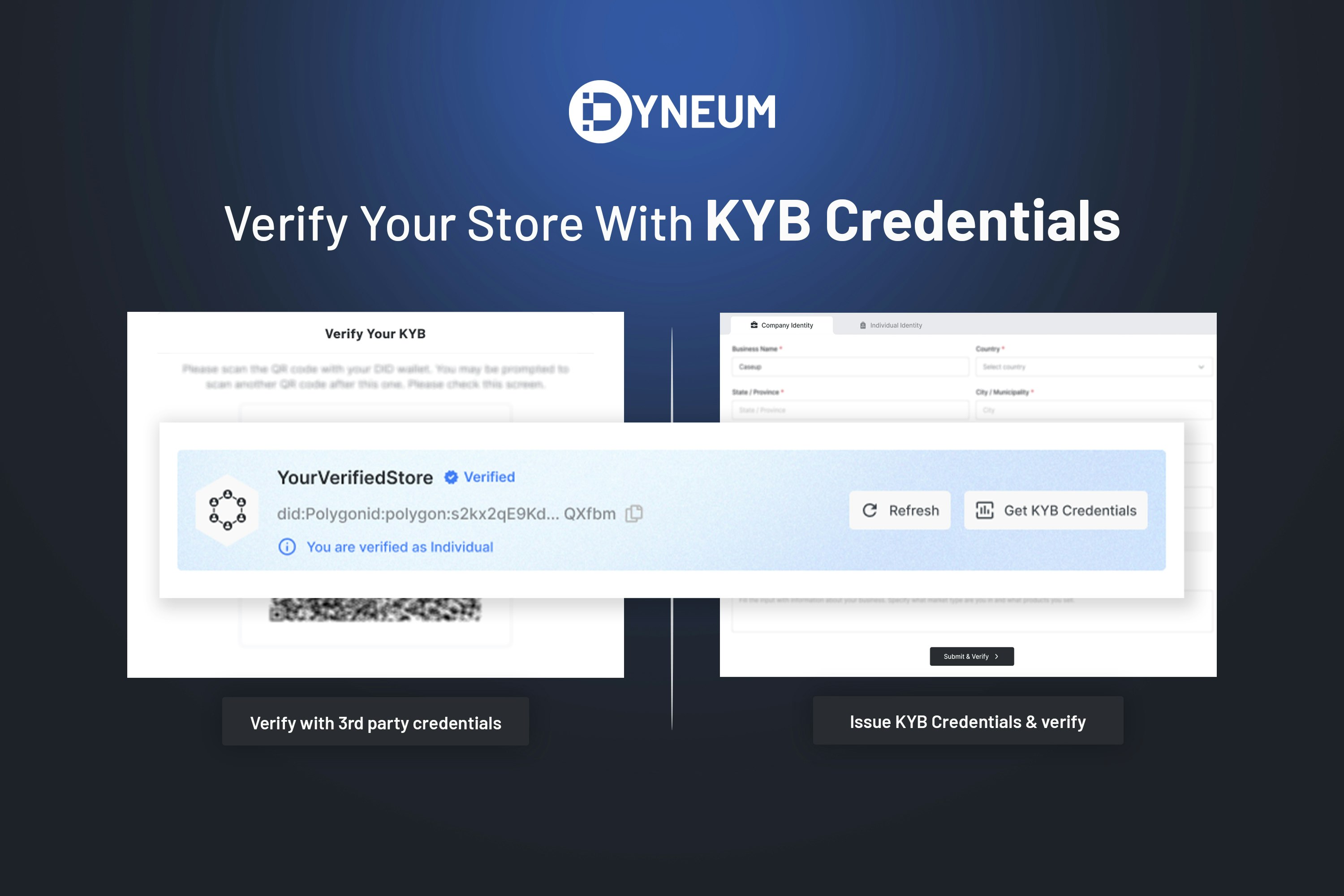 Dyneum media 4