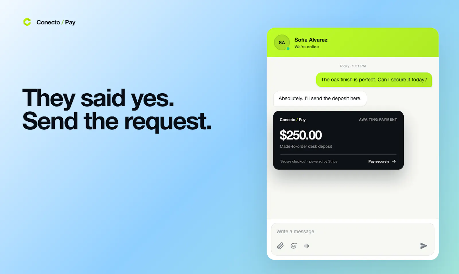 Conecto Pay screenshot 3