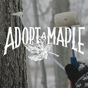 Adopt-a-Maple