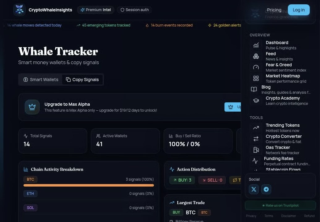 CryptoWhaleInsights gallery image