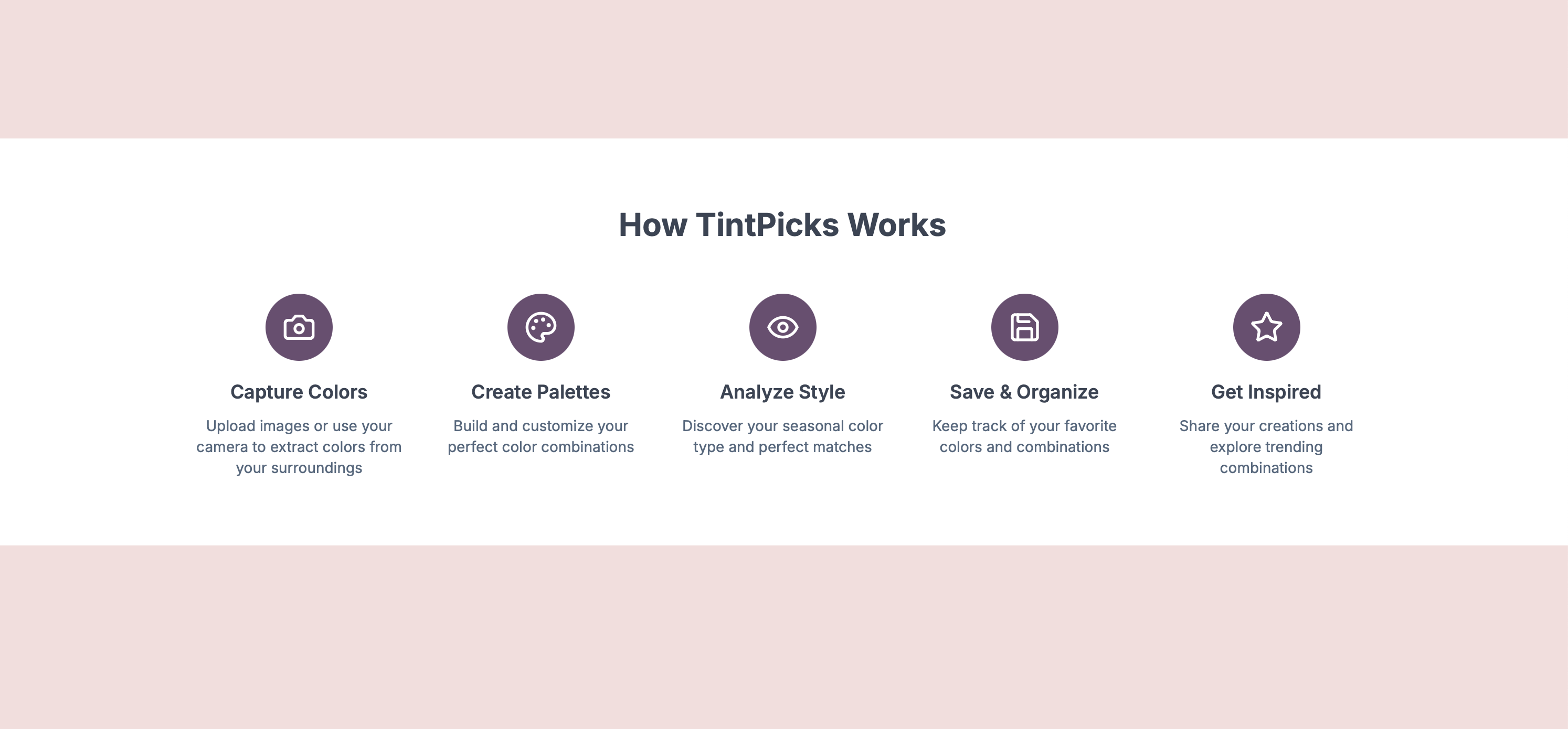 Tinthpicks media 3
