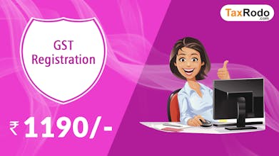 TaxRodo.com gallery image