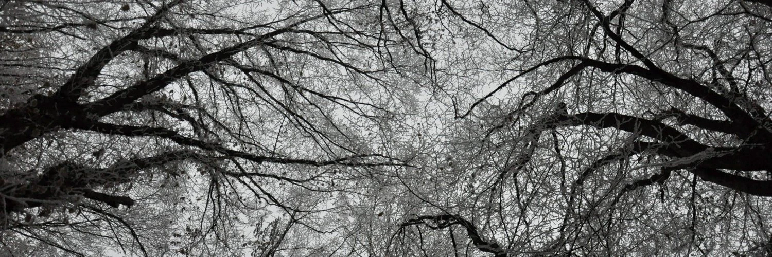 Dražen Lučanin cover