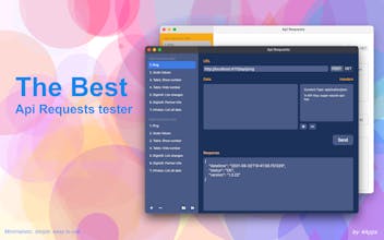 Api Requests gallery image