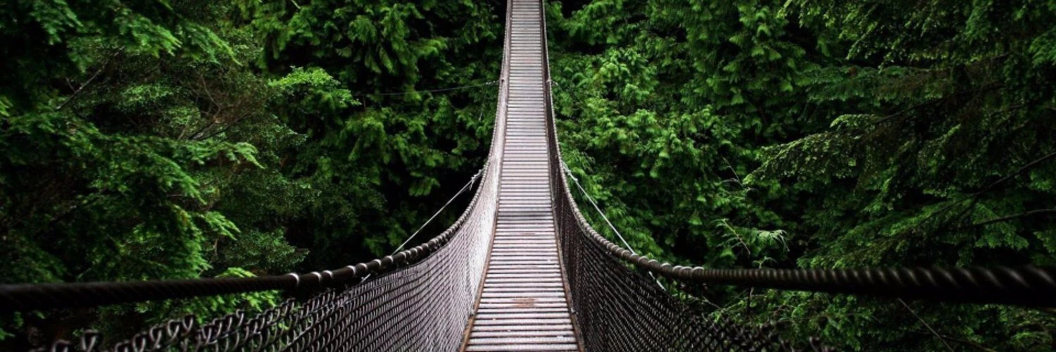 Haikel Fazzani cover