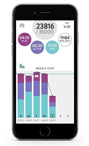 Fitbark gallery image