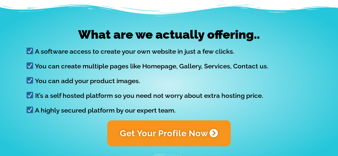 Yopofile gallery image