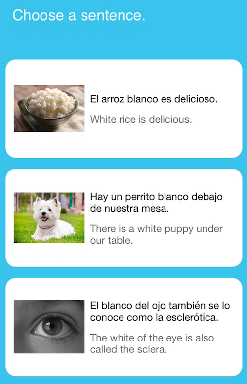 Fluent Forever Language Learning App gallery image