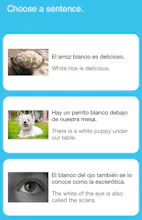 Fluent Forever Language Learning App gallery image