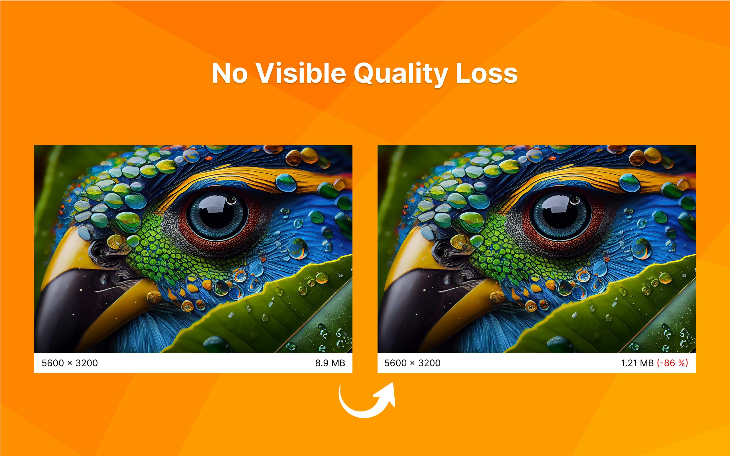 Tinyfile gallery image