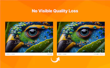 Tinyfile gallery image
