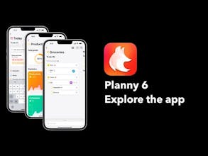 Planny 6 gallery image