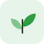 Sprout