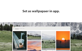 MyerSplash gallery image