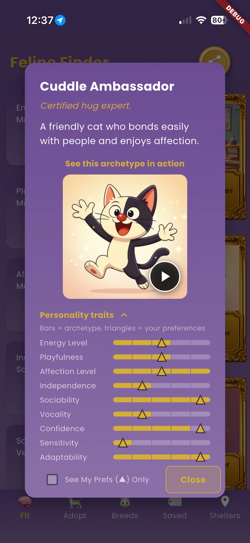 Feline Finder - When Adopting screenshot 5