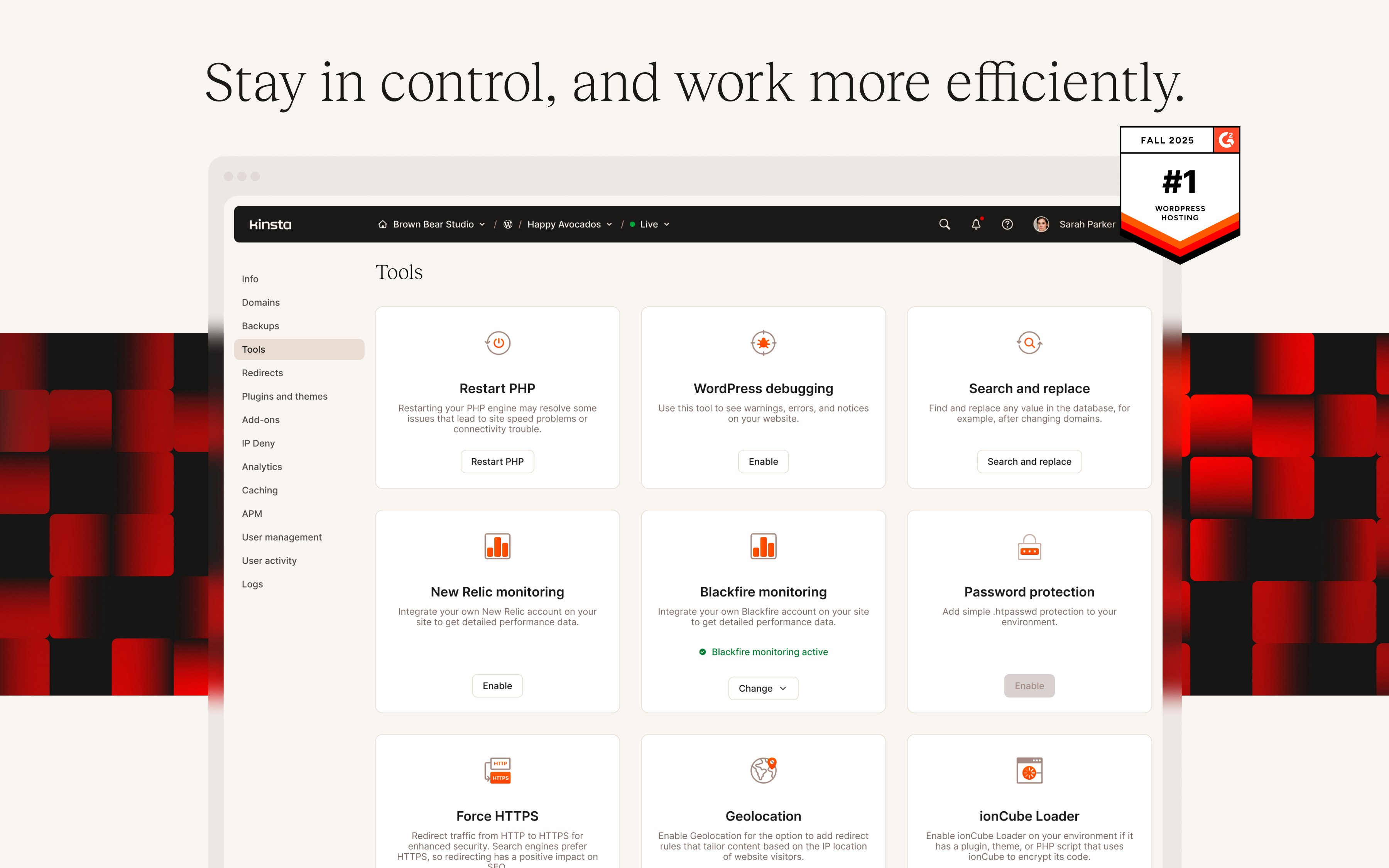 Kinsta gallery image