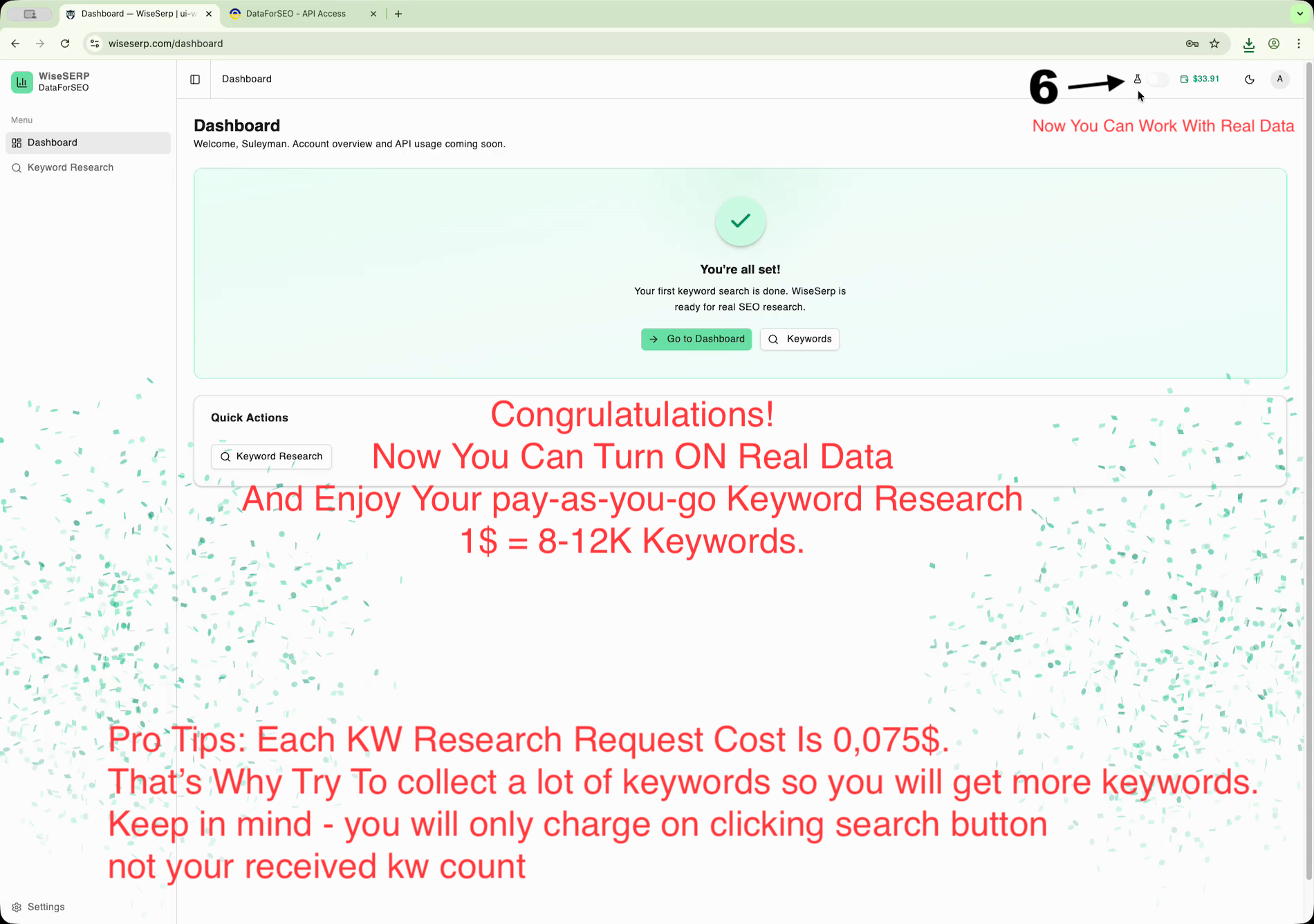 WiseSERP gallery image