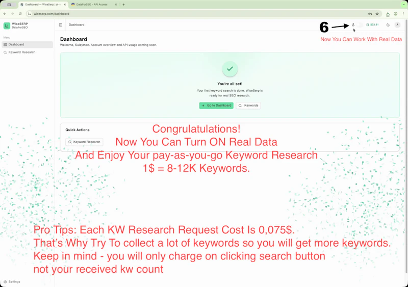 WiseSERP screenshot 6