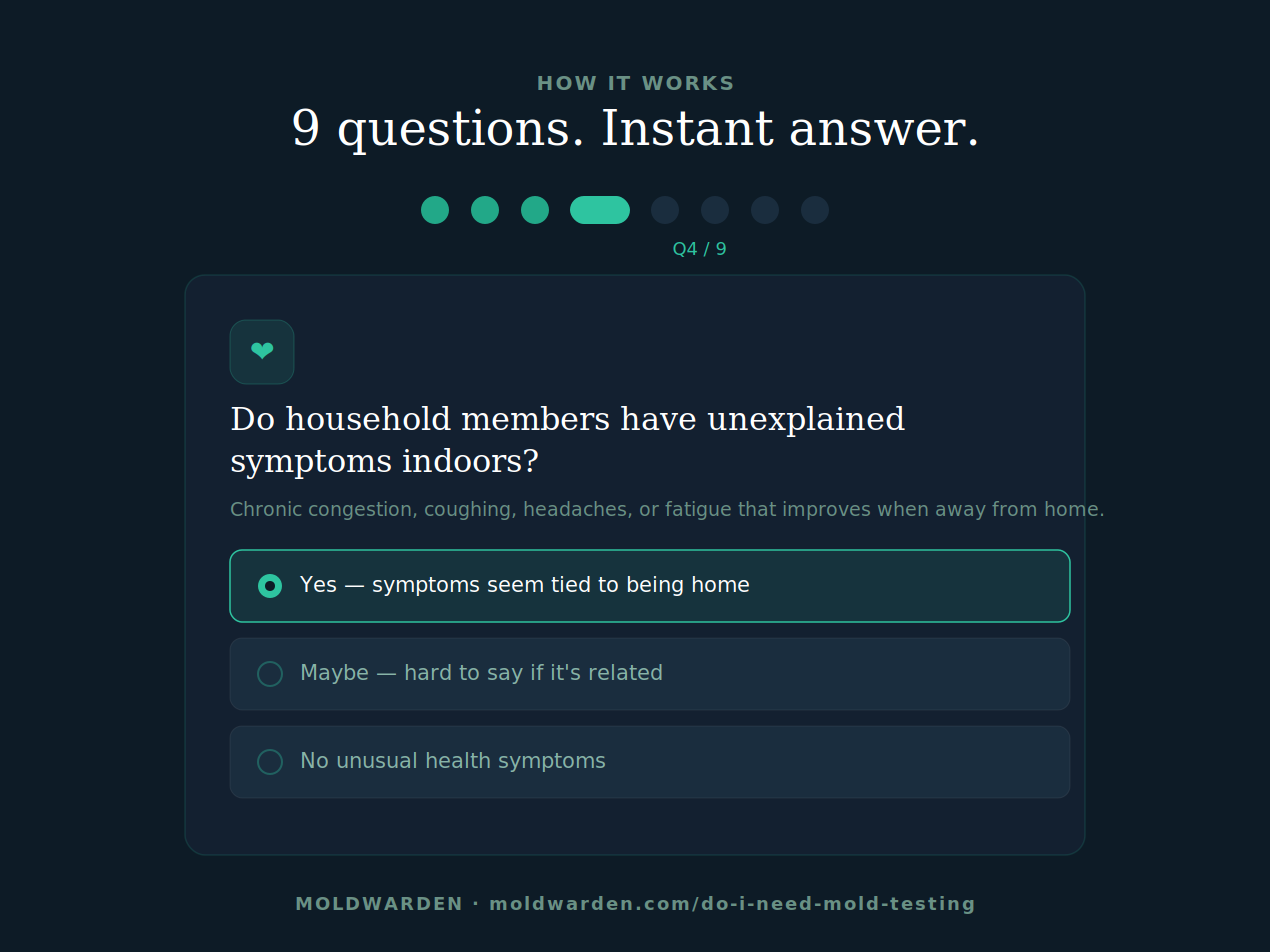 Do I Need Mold Testing? gallery image