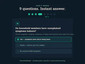 Do I Need Mold Testing? gallery image