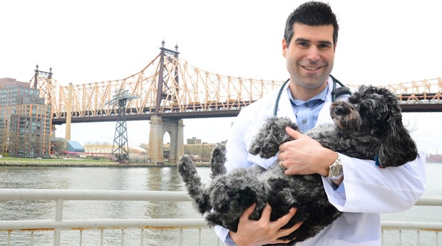 BarkCare gallery image