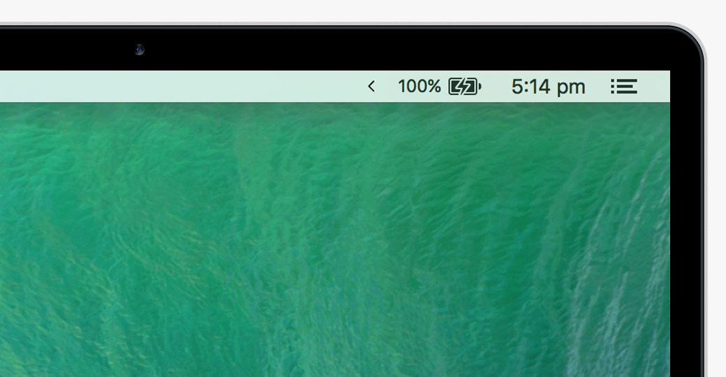 Vanilla gallery image