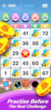 Bingo Paradise: Cash Prizes gallery image
