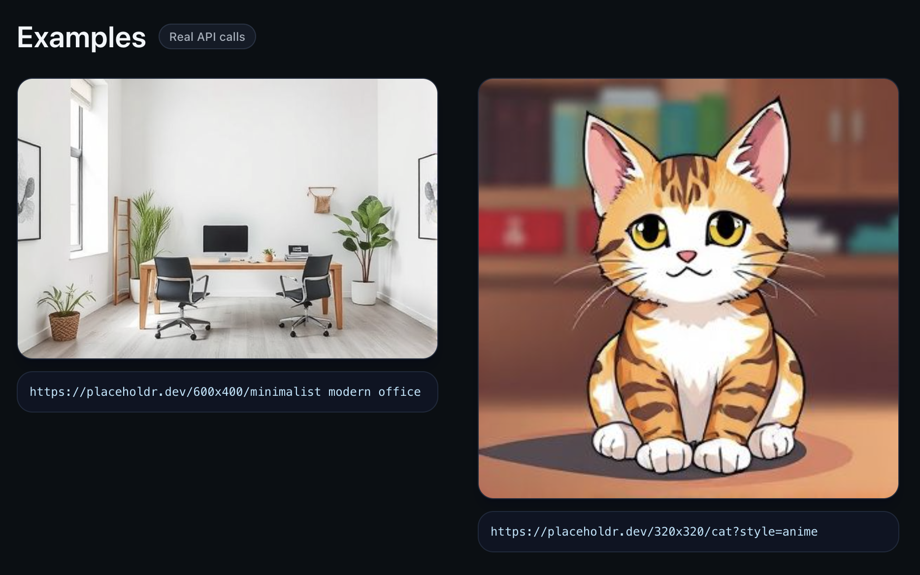 placeholdr.dev gallery image