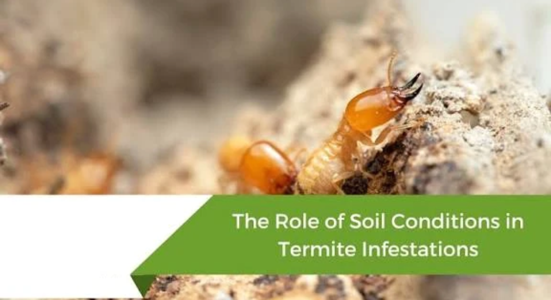 fix4upest.com.au - Main product screenshot demonstrating key features and user interface