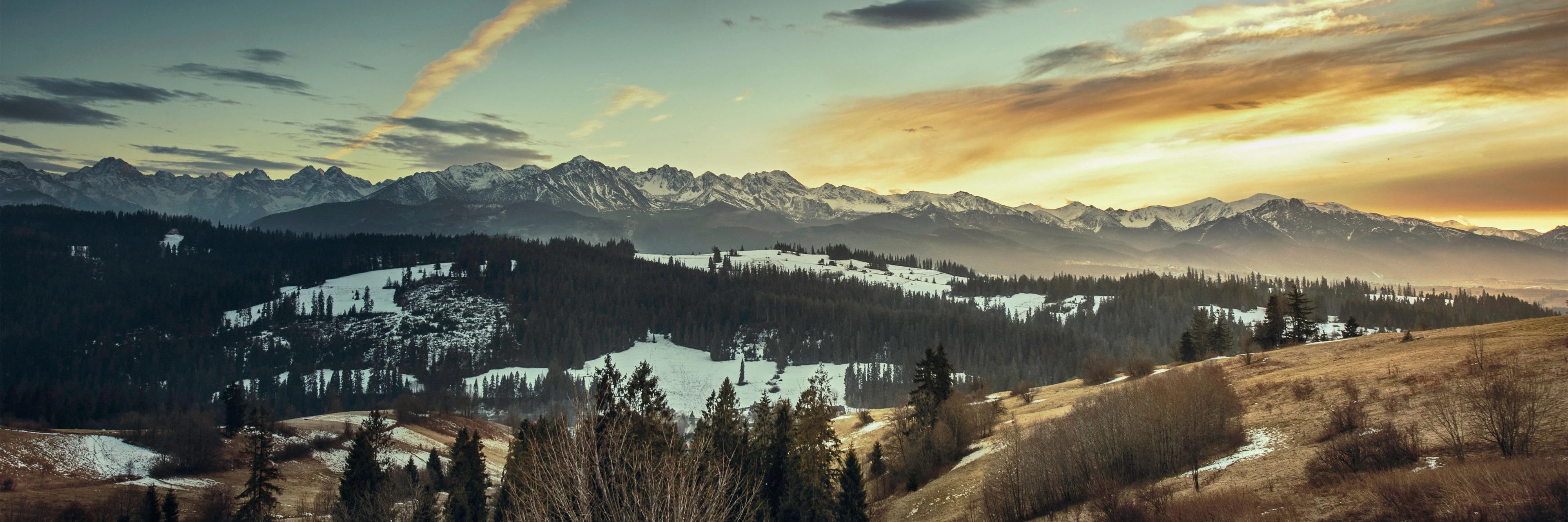 Stephen Campbell cover