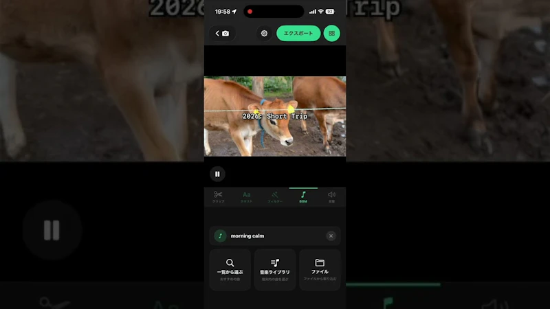 LifeCut screenshot 1 (video preview)