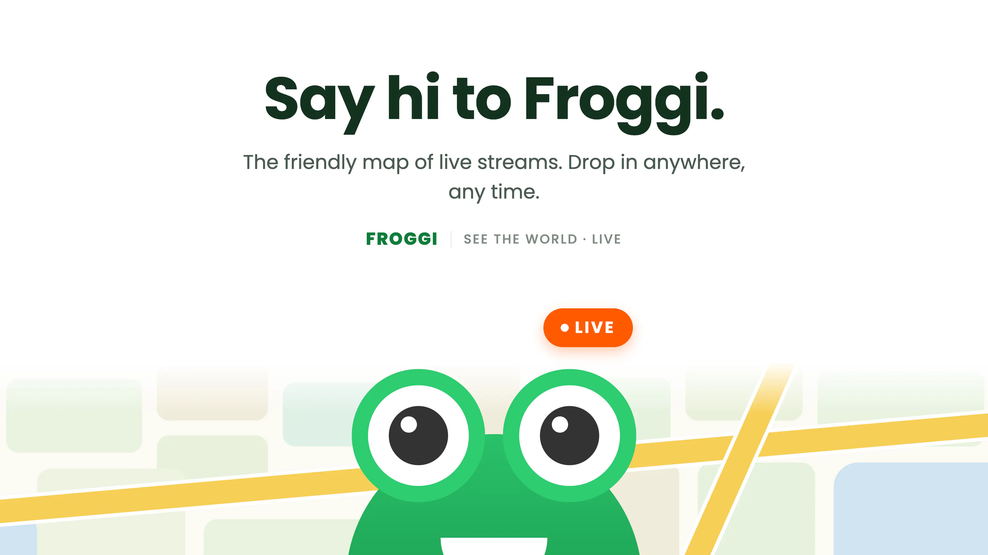 Froggi gallery image