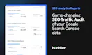 SEO Analytics Reports by Buddler