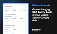 SEO Analytics Reports by Buddler