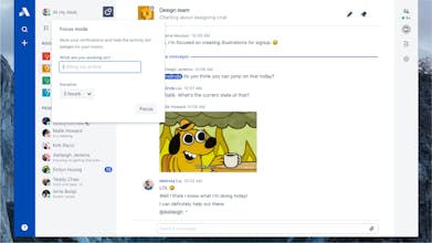 The Paws Project gallery image