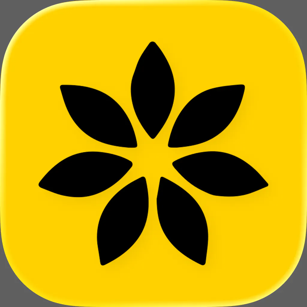 Local AI Art: PocketDiffusion