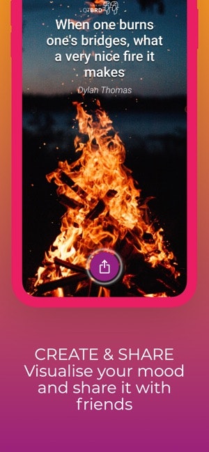 Quotes for Your Photos gallery image