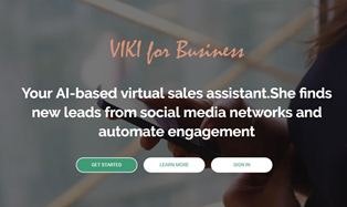 VIKI for Business