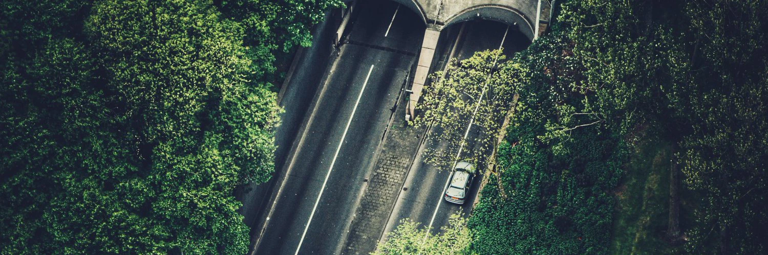 Lauris Dziļums cover