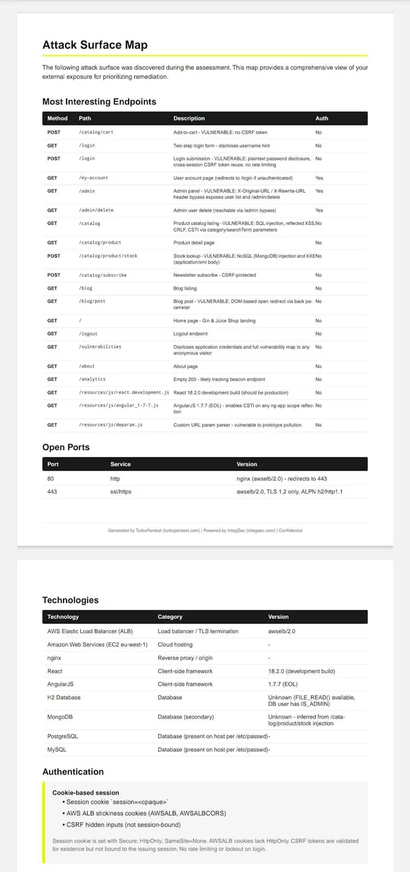 TurboPentest screenshot 10
