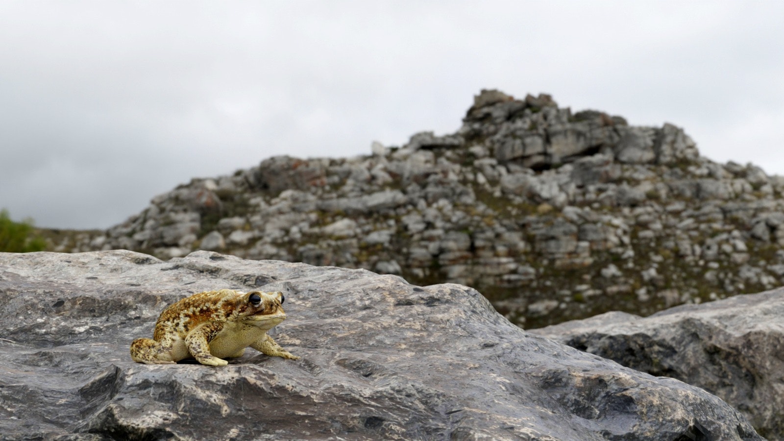 Image Machine gallery image