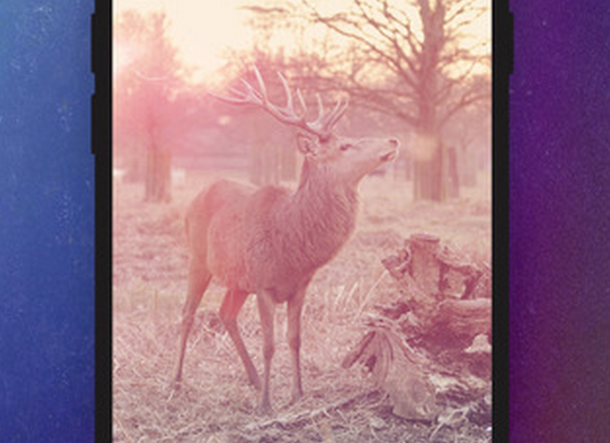 Filterloop gallery image