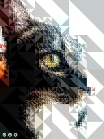 Pixl gallery image