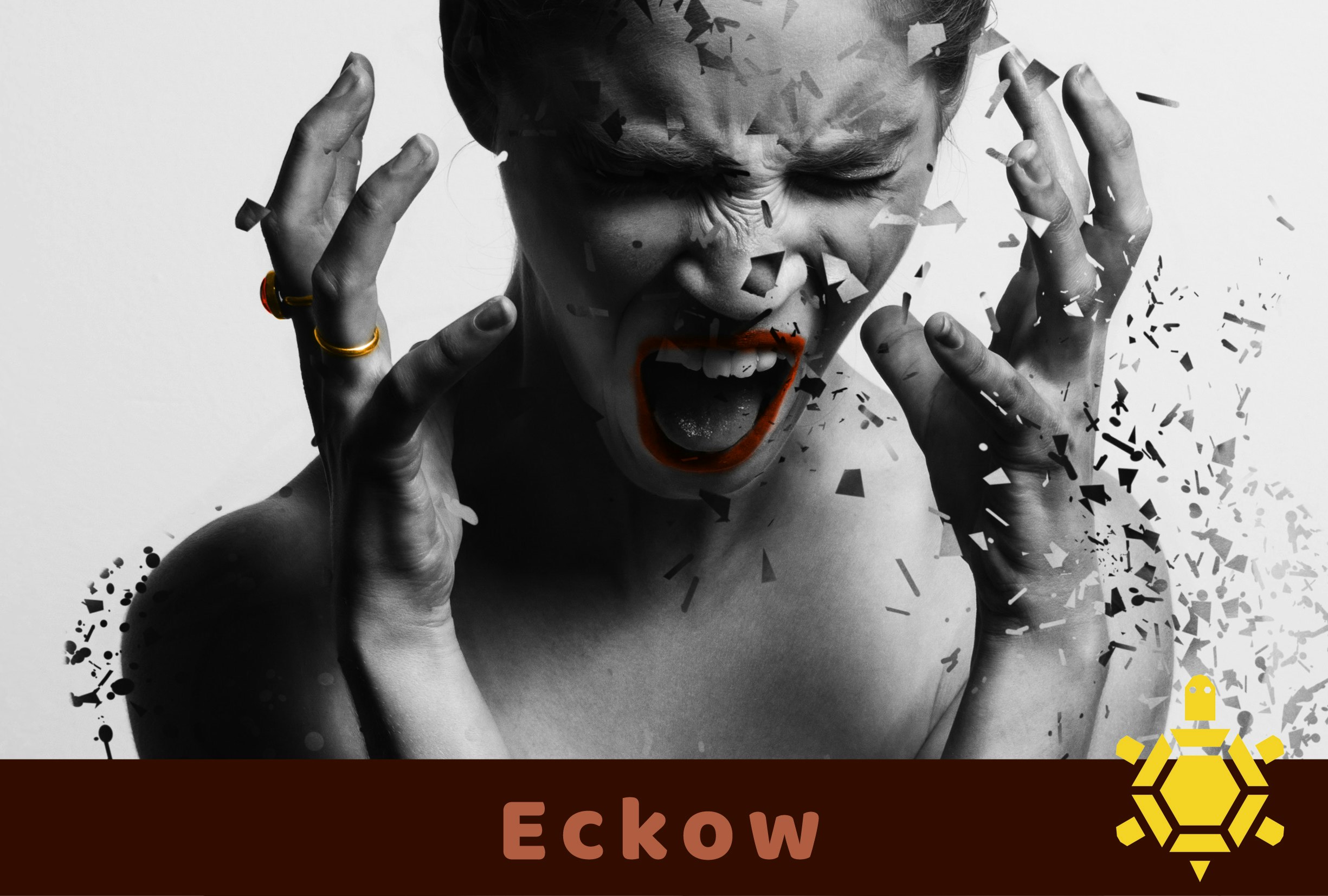 Eckow - Screenshot 2 showing product features and functionality