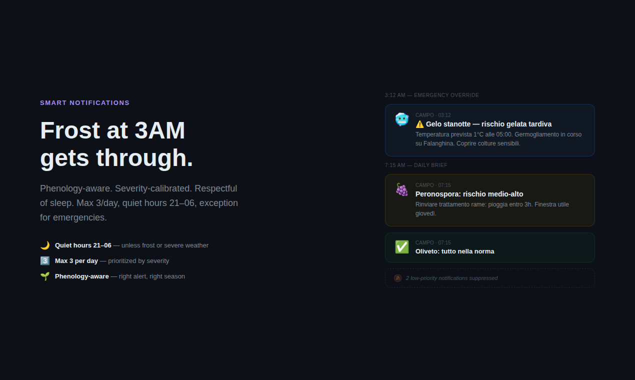 Guardia del Campo gallery image