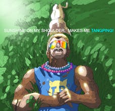 Tang Ping Cat - Memecoin Project gallery image