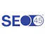 SEO45™ AI
