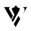ViStyle