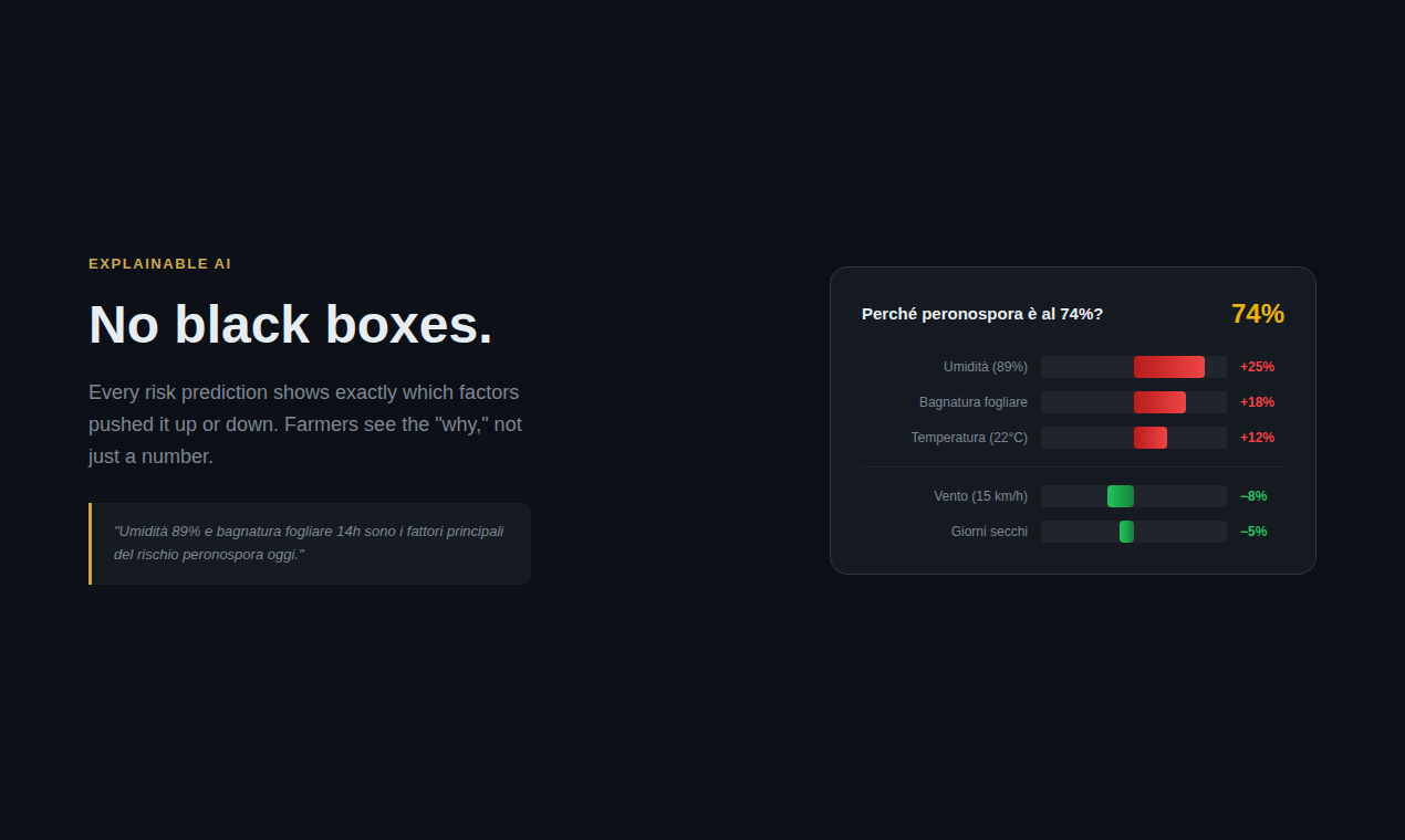 Guardia del Campo gallery image