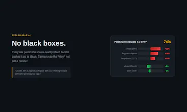 Guardia del Campo gallery image